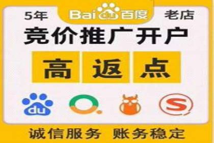 SEO与SEM优化案例：打造行业领先品牌